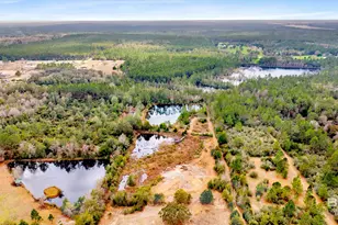 32106 W Seminole Rd, Seminole, AL 36574 - Photo 19