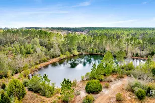 32106 W Seminole Rd, Seminole, AL 36574 - Photo 23