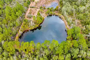 32106 W Seminole Rd, Seminole, AL 36574 - Photo 25