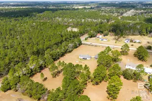 10710 Deerfoot Ln, Elberta, AL 36530 - Photo 33