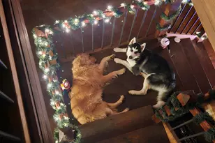 27860 Goat Cooper Rd, Robertsdale, AL 36567 - Photo 17