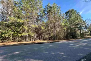 0 Boardwalk Dr, Daphne, AL 36527 - Photo 1