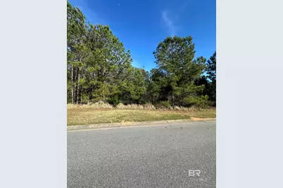 0 Boardwalk Drive, Daphne, AL 36527 - Photo 3