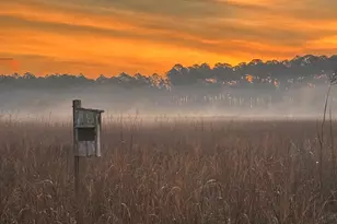 15025 Bellingrath Rd, Coden, AL 36523 - Photo 71