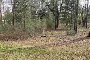 0 W 5th St, Bay Minette, AL 36507 - Photo 1