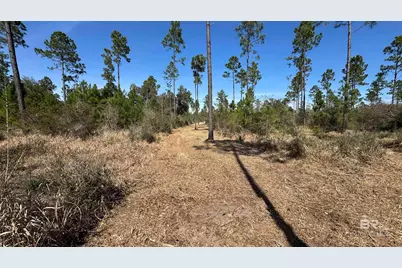 0 Archie Road, Elberta, AL 36530 - Photo 9