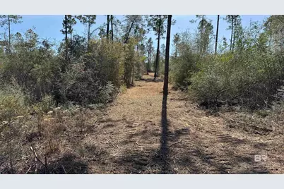 0 Archie Road, Elberta, AL 36530 - Photo 11