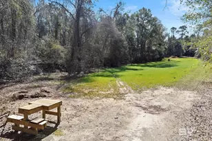 24250 Hack Rd, Bay Minette, AL 36507 - Photo 21