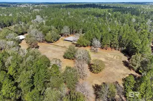 24250 Hack Rd, Bay Minette, AL 36507 - Photo 57