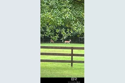 24250 Hack Road, Bay Minette, AL 36507 - Photo 23