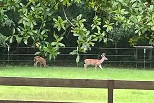 24250 Hack Rd, Bay Minette, AL 36507 - Photo 23