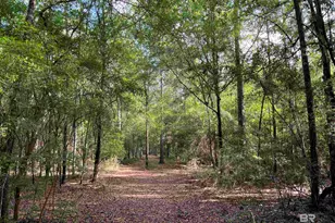 24250 Hack Rd, Bay Minette, AL 36507 - Photo 81