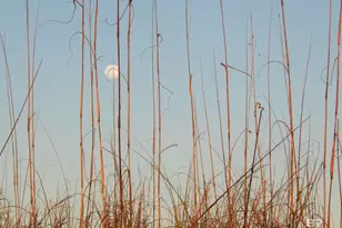 1380 State Hwy 180, Gulf Shores, AL 36542 - Photo 35