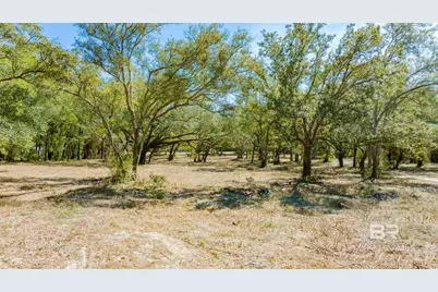 00 County Road 99, Lillian, AL 36549 - Photo 13