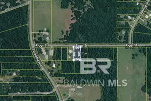 0 Riggs St, Elberta, AL 36530 - Photo 1