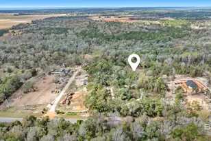 10341 Magnolia Springs Hwy, Foley, AL 36535 - Photo 31