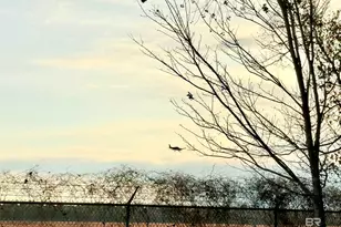 3605 Ashton Ct, Gulf Shores, AL 36542 - Photo 7