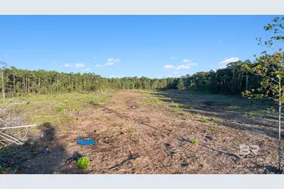 0 County Road 6, Gulf Shores, AL 36542 - Photo 11