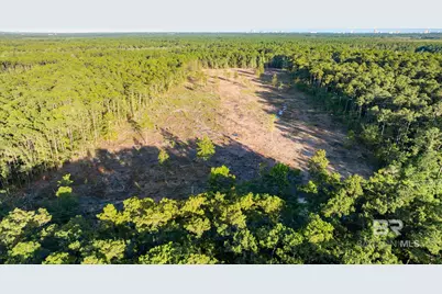 0 County Road 6, Gulf Shores, AL 36542 - Photo 7