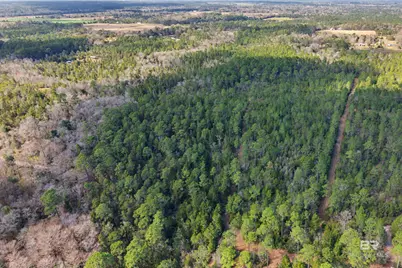 10736 County Road 83, Elberta, AL 36530 - Photo 5
