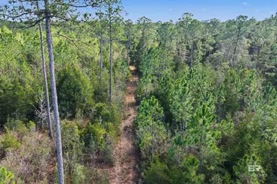 10736 County Road 83, Elberta, AL 36530 - Photo 7