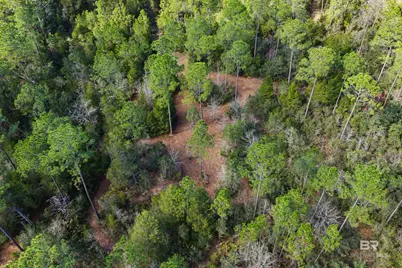 10736 County Road 83, Elberta, AL 36530 - Photo 15