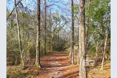 Chene Trace, Rosinton, AL 36567 - Photo 15