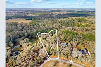 Chene Trace, Rosinton, AL 36567 - Photo 5