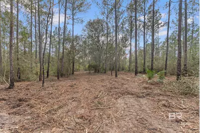 Lot #1 Bermuda Lane, Seminole, AL 36574 - Photo 5