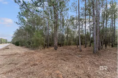 Lot #1 Bermuda Lane, Seminole, AL 36574 - Photo 11