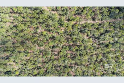 Lot #1 Bermuda Lane, Seminole, AL 36574 - Photo 23
