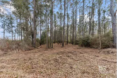 Lot #1 Bermuda Lane, Seminole, AL 36574 - Photo 7