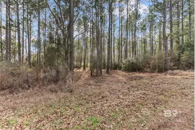 Lot #10 Bermuda Lane, Seminole, AL 36574 - Photo 11