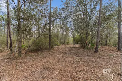 Lot #10 Bermuda Lane, Seminole, AL 36574 - Photo 7