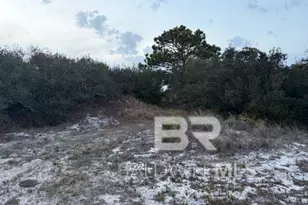 2322 State Hwy 180, Gulf Shores, AL 36542 - Photo 7