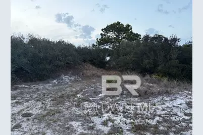 Tbd State Highway 180, Gulf Shores, AL 36542 - Photo 7