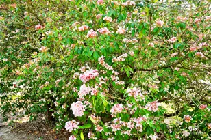 662 Fairhope Ave, Fairhope, AL 36532 - Photo 13