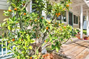 662 Fairhope Ave, Fairhope, AL 36532 - Photo 11