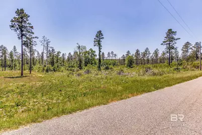 0 Allen Road, Atmore, AL 36502 - Photo 29