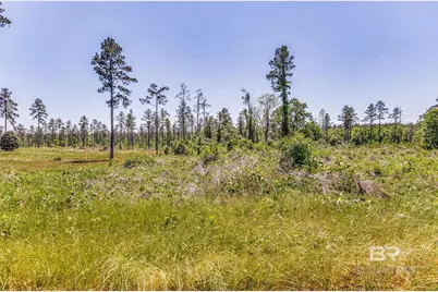 0 Allen Road, Atmore, AL 36502 - Photo 7