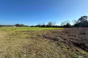 13050 Co Rd 87, Elberta, AL 36530 - Photo 5