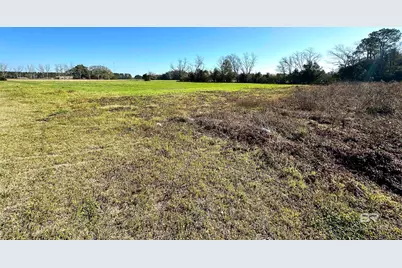 13050 County Road 87, Elberta, AL 36530 - Photo 5