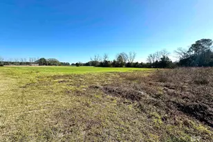 13050 Co Rd 87, Elberta, AL 36530 - Photo 5