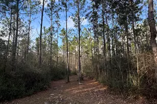 51235 Phillipsville Rd, Bay Minette, AL 36507 - Photo 57