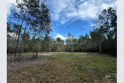 51235 Phillipsville Road, Bay Minette, AL 36507 - Photo 55