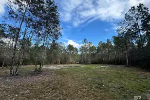 51235 Phillipsville Rd, Bay Minette, AL 36507 - Photo 55