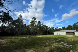 51235 Phillipsville Rd, Bay Minette, AL 36507 - Photo 45