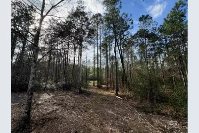 51235 Phillipsville Road, Bay Minette, AL 36507 - Photo 51