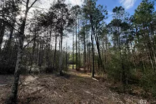 51235 Phillipsville Rd, Bay Minette, AL 36507 - Photo 51