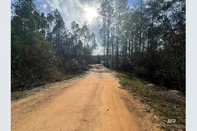 51235 Phillipsville Road, Bay Minette, AL 36507 - Photo 41